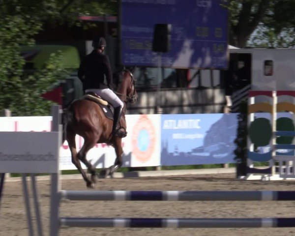 Reitturnier Bremen - Reitanlage Forkert 2025