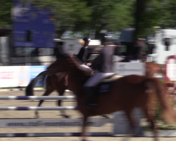 Reitturnier Bremen - Reitanlage Forkert 2025