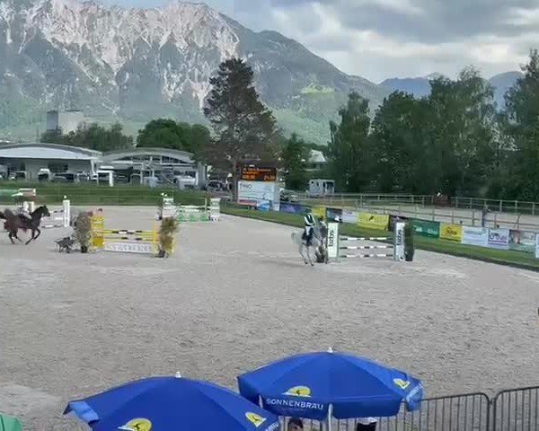 Reitturnier Werdenberg 2025