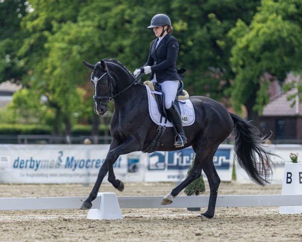 horse Livadonna E (German Sport Horse, 2021, from Life Time FRH)