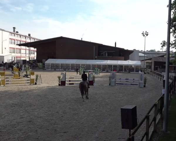 Reitturnier Sulgen 2025