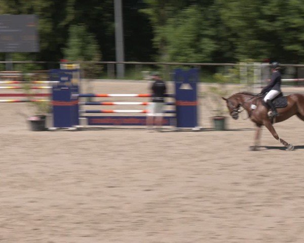 Reitturnier Erkrath - Uhlenhof 2025