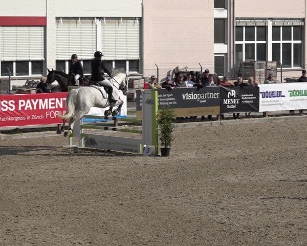Reitturnier Sulgen 2025