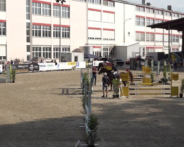 Reitturnier Sulgen 2025