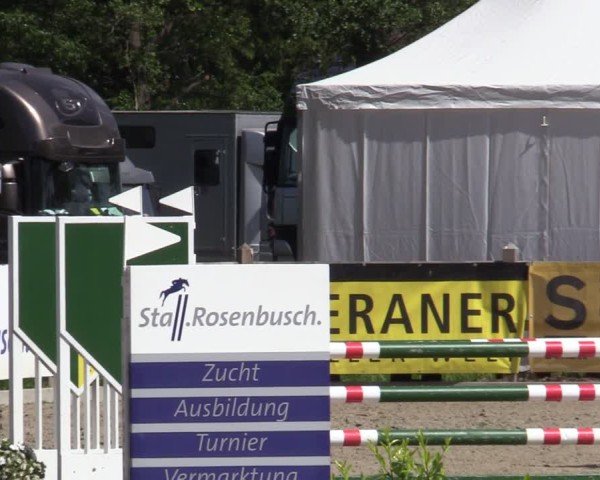 Reitturnier Bremen - Reitanlage Forkert 2025