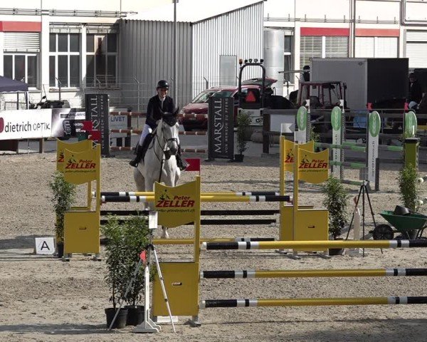 Reitturnier Sulgen 2025