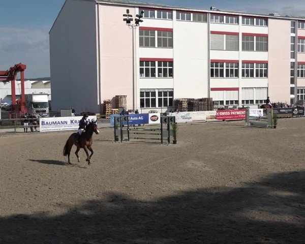 Reitturnier Sulgen 2025