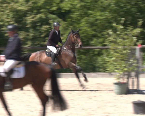 Reitturnier Erkrath - Uhlenhof 2025