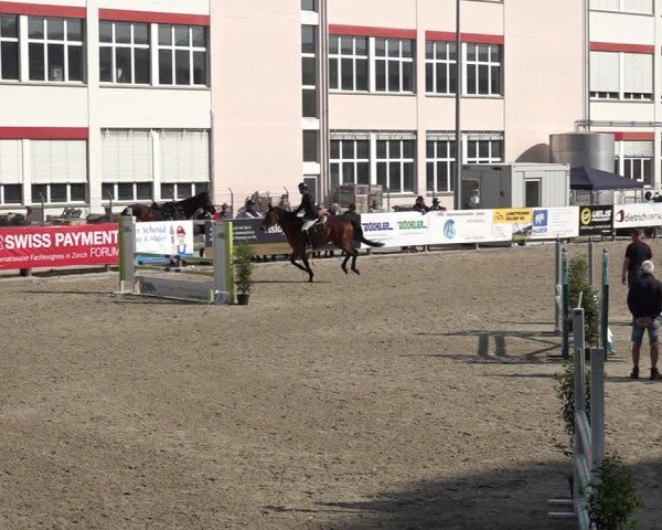 Reitturnier Sulgen 2025