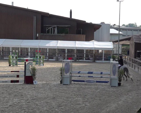 Reitturnier Sulgen 2025