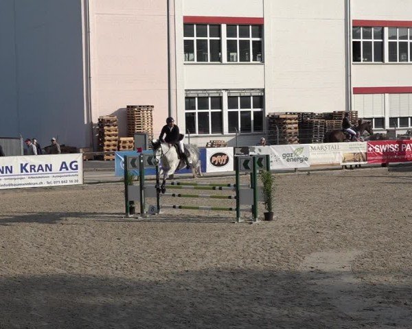 Reitturnier Sulgen 2025