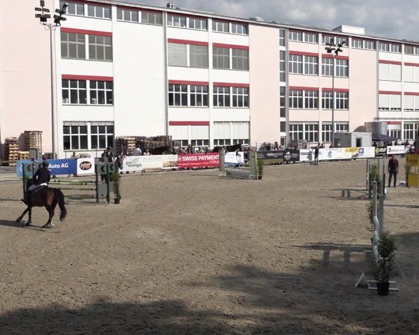 Reitturnier Sulgen 2025