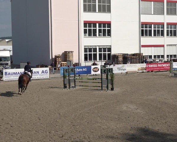 Reitturnier Sulgen 2025