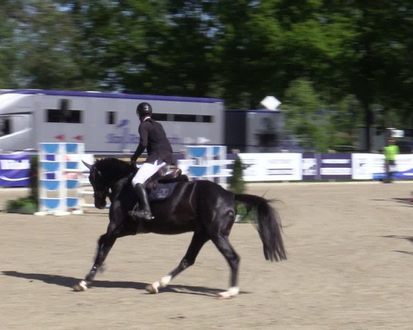 Reitturnier Bremen - Reitanlage Forkert 2025