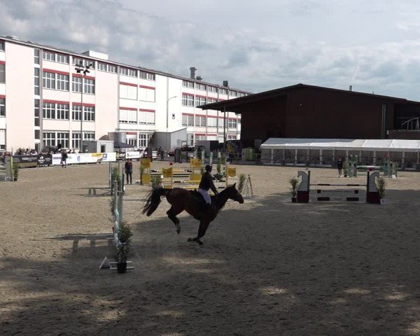 Reitturnier Sulgen 2025