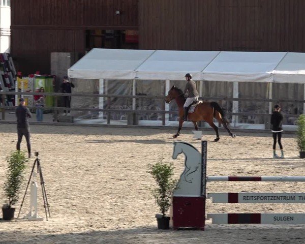 Reitturnier Sulgen 2025