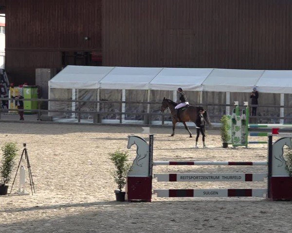 Reitturnier Sulgen 2025