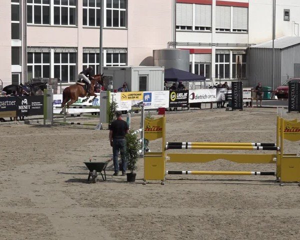 Reitturnier Sulgen 2025