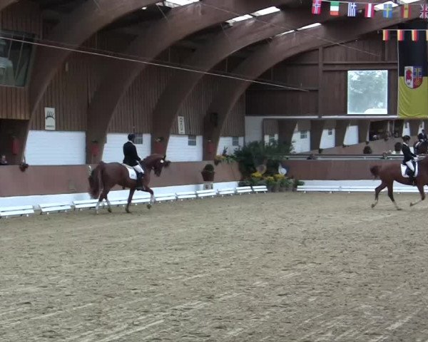 Krefeld - Reitanlage Kühnen, Junge-Pferde-Turnier 2014