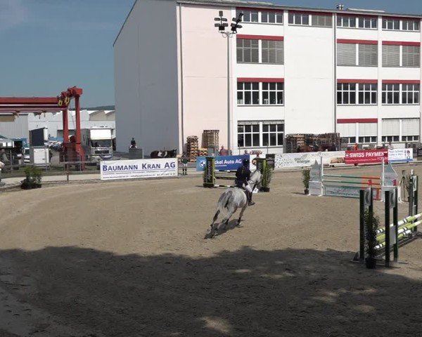 Reitturnier Sulgen 2025