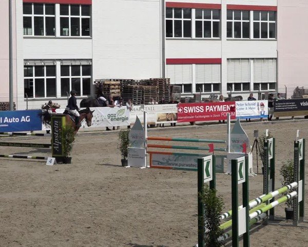 Reitturnier Sulgen 2025