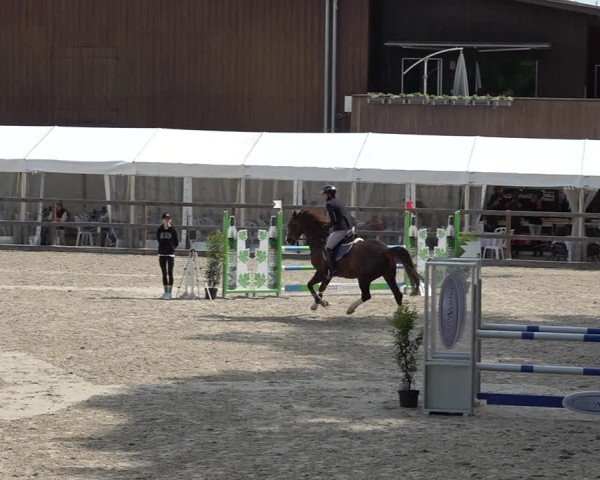 Reitturnier Sulgen 2025