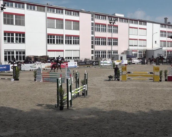 Reitturnier Sulgen 2025