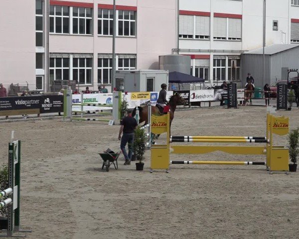 Reitturnier Sulgen 2025