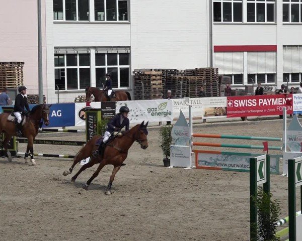 Reitturnier Sulgen 2025