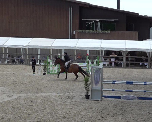 Reitturnier Sulgen 2025