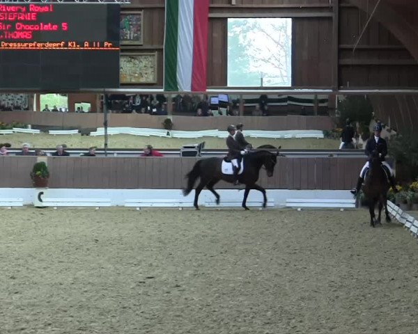 Krefeld - Reitanlage Kühnen, Junge-Pferde-Turnier 2014