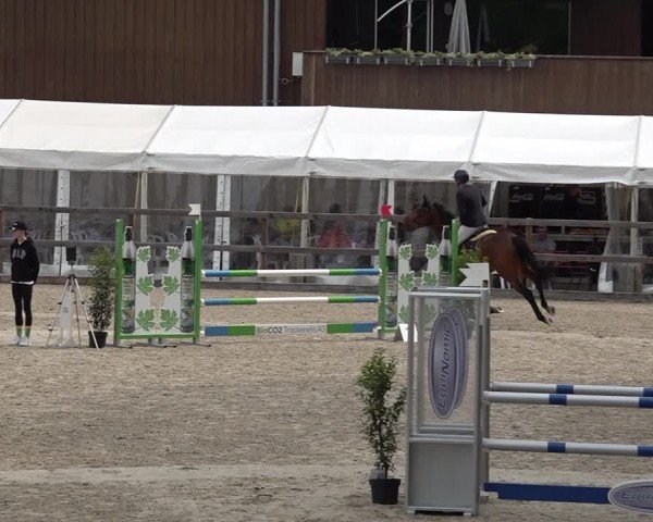 Reitturnier Sulgen 2025