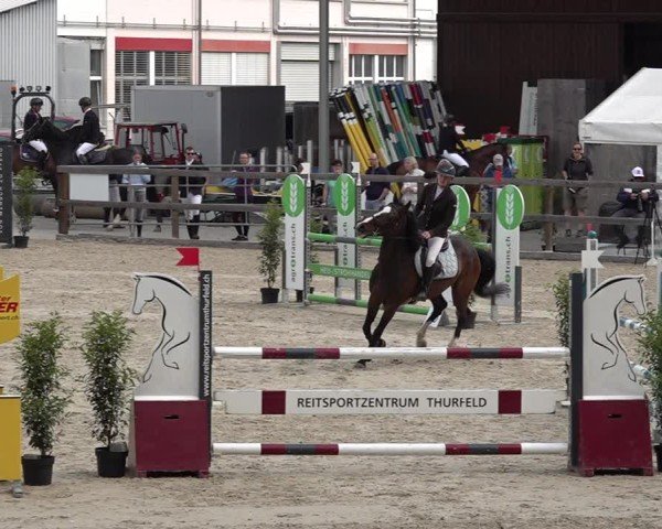 Reitturnier Sulgen 2025