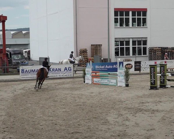 Reitturnier Sulgen 2025