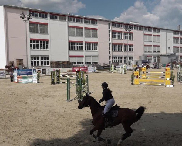 Reitturnier Sulgen 2025