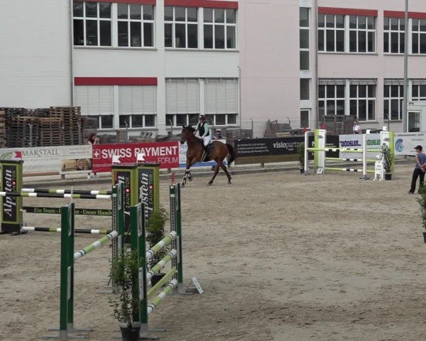Reitturnier Sulgen 2025