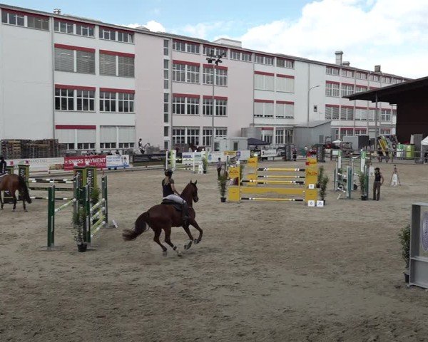 Reitturnier Sulgen 2025