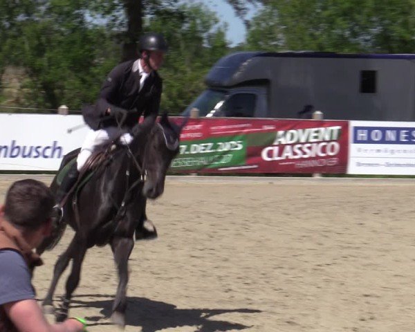 Reitturnier Bremen - Reitanlage Forkert 2025