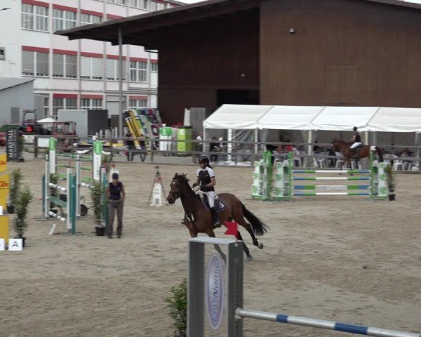 Reitturnier Sulgen 2025