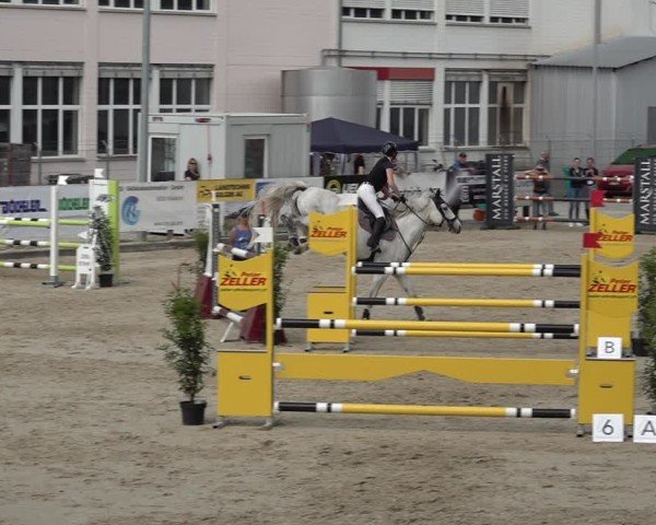 Reitturnier Sulgen 2025