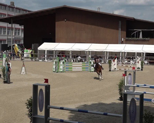 Reitturnier Sulgen 2025