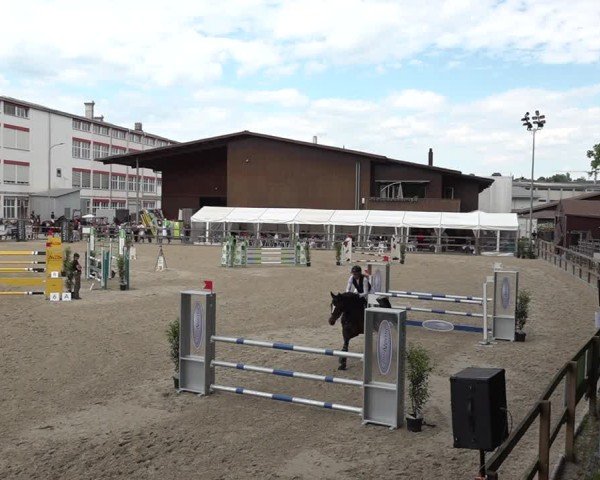 Reitturnier Sulgen 2025