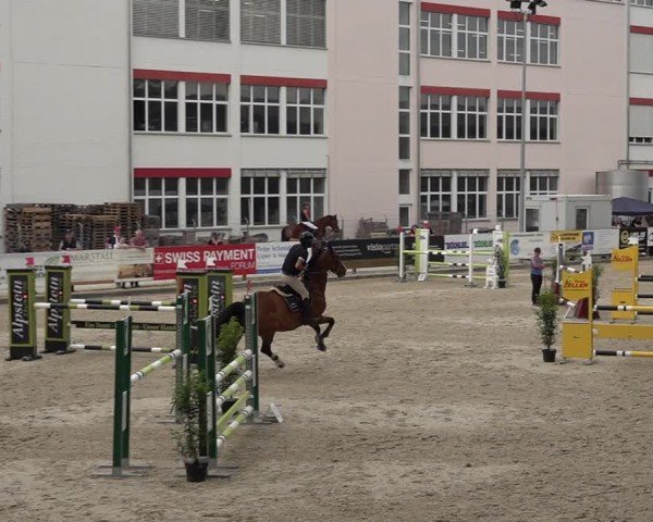 Reitturnier Sulgen 2025