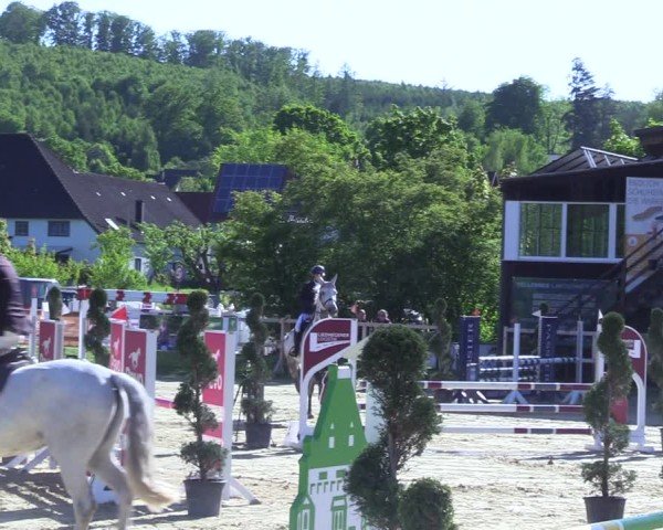 Reitturnier Niederbergheim 2025