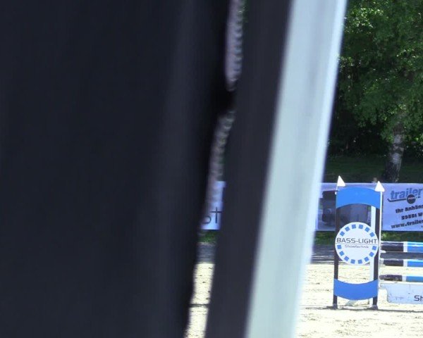 Reitturnier Niederbergheim 2025