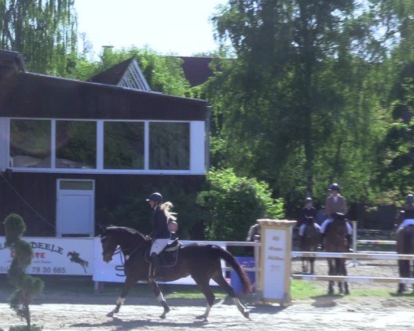 Reitturnier Niederbergheim 2025