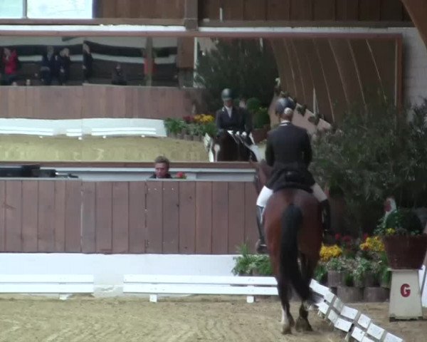 Krefeld - Reitanlage Kühnen, Junge-Pferde-Turnier 2014