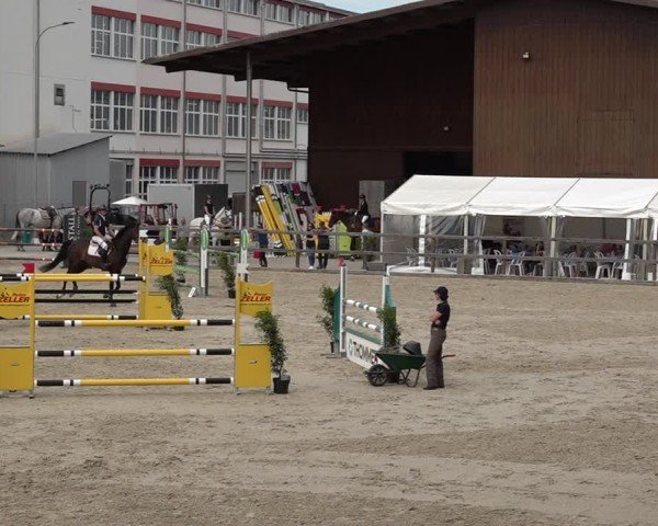 Reitturnier Sulgen 2025