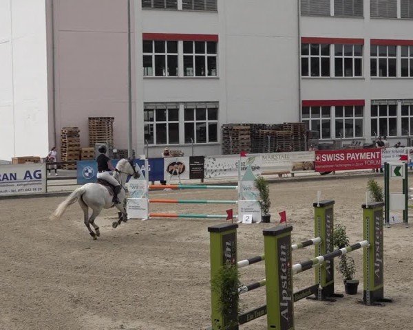 Reitturnier Sulgen 2025