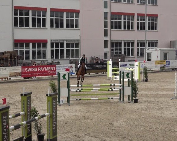 Reitturnier Sulgen 2025